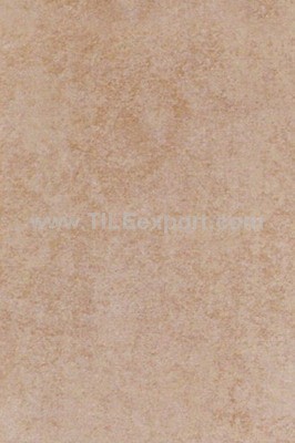 Floor_Tile--Porcelain_Tile,300X450mm[Wall_and_Floor],34505_2